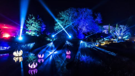 Cambridge Botanic Lights trail around Cambridge University Botanic Garden